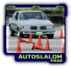 AUTOSLALOM_2020mini.png